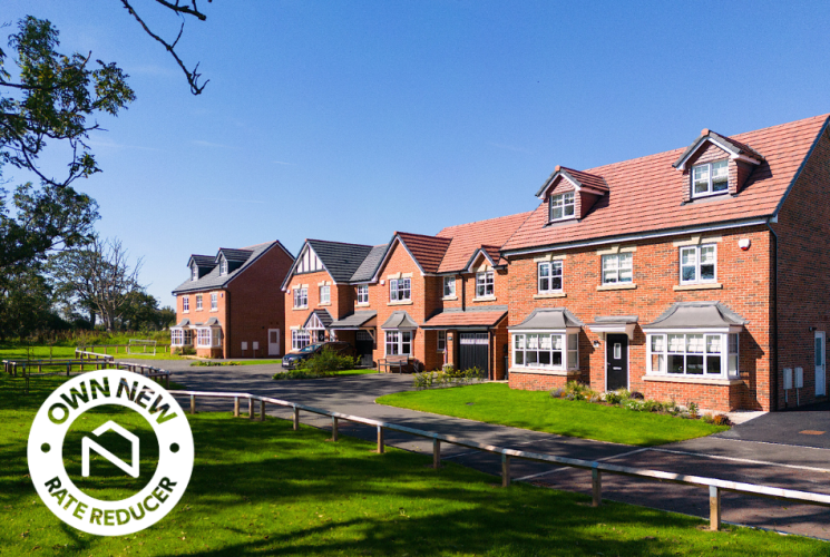 Lovely new homes