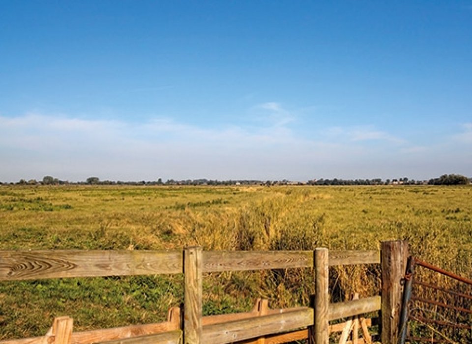 New Homes for Sale in The Fylde Rowland Homes