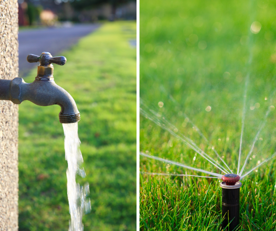 watering a new lawn
